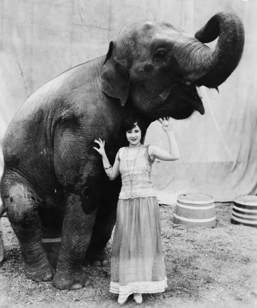 Retrato de uma jovem mulher de pé sob um elefante — Fotografia de Stock