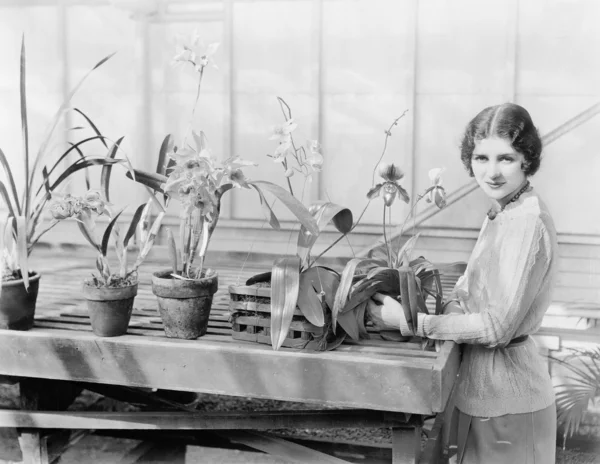 Portrait of a young woman attending to her orchids — Stock Photo, Image