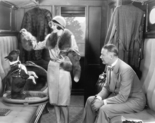 Ζευγάρι μαζί σε ένα τρένο και διατροφή ένα σκυλί — Φωτογραφία Αρχείου