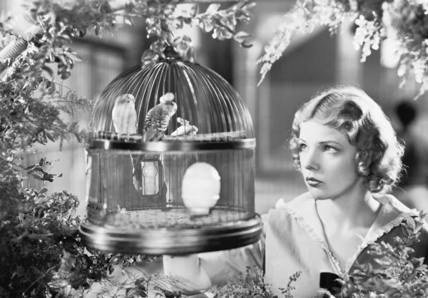 Mujer mirando en una jaula de pájaros con pájaros — Foto de Stock