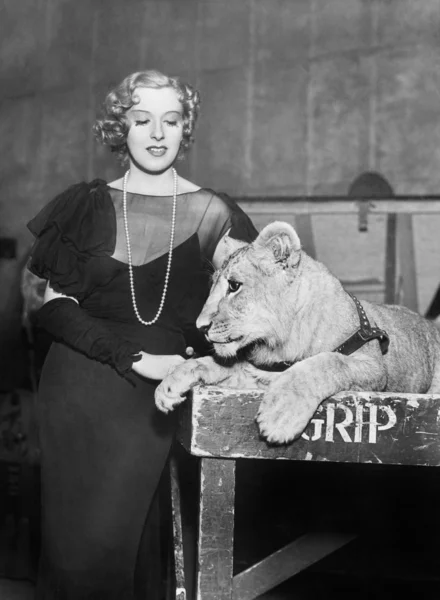 Elegante donna in piedi accanto a un leone — Foto Stock