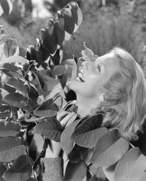 Temperamentní žena dívá do stromu — Stock fotografie
