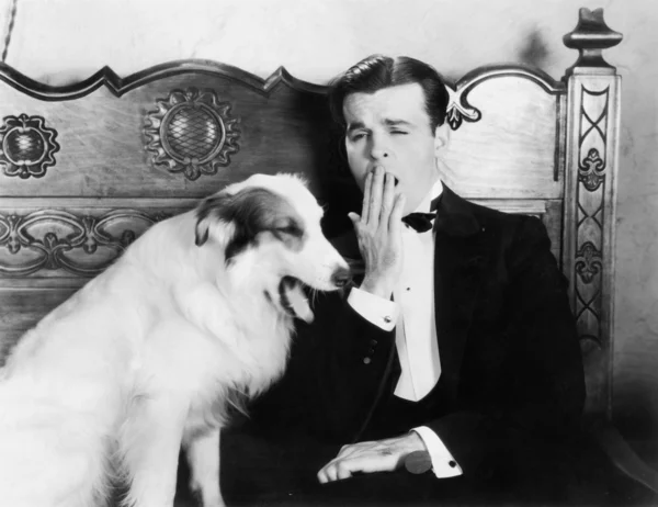 Άνθρωπος και σκύλος κάθονται μαζί χασμουρητό — Φωτογραφία Αρχείου