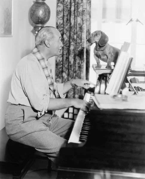 Άνθρωπος για τον σκύλο του να παίζει πιάνο — Φωτογραφία Αρχείου