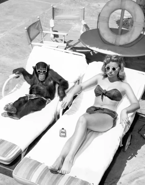 Chimpanzé e uma mulher tomando banho de sol — Fotografia de Stock