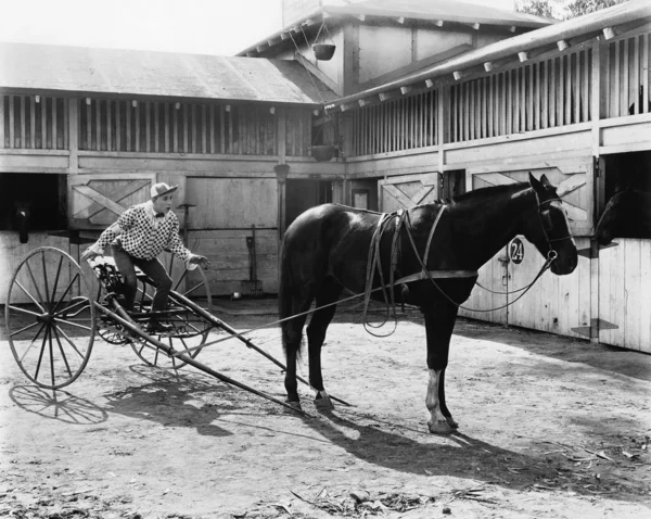Jeżdżący koń siedzi na wozie — Zdjęcie stockowe