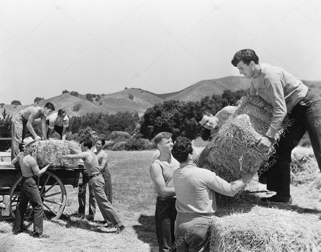 Men working on a farm loading hay