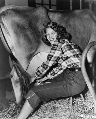 Woman in a barn milking a cow clipart