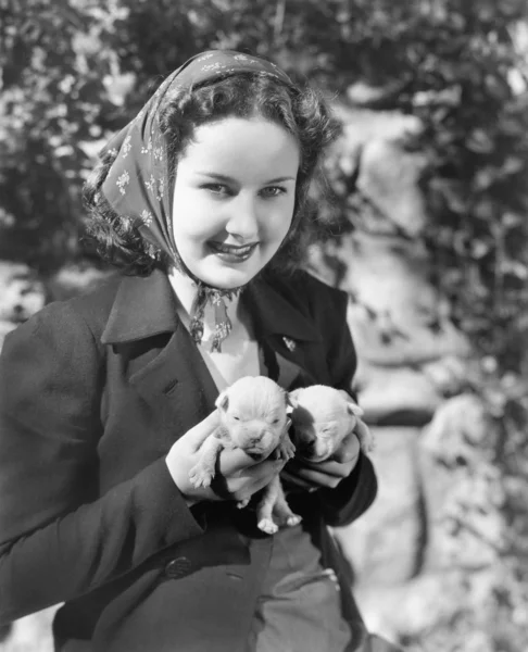 Woman holding two English Bull Terrier puppies — Stock Photo, Image