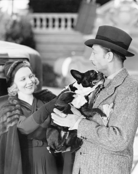 Uomo e donna con in braccio un cagnolino — Foto Stock