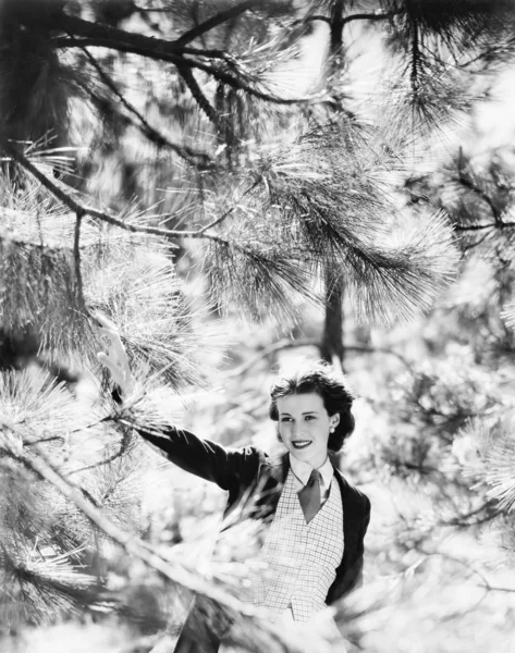 Mujer vivaz mirando a través de las ramas de un pino — Foto de Stock