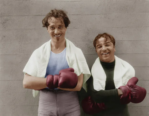 Portret van twee boksers — Stockfoto