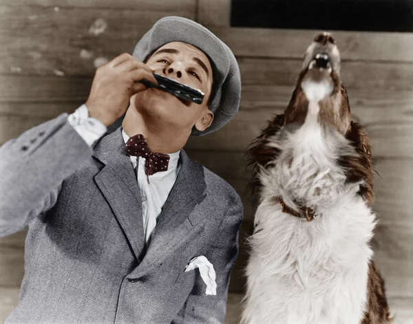 Homem tocando gaita com cão uivando — Fotografia de Stock