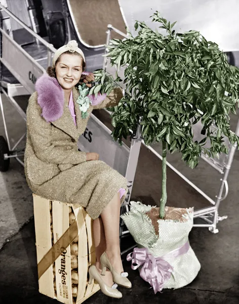 Mujer sentada en una caja de naranjas junto a un avión y un árbol de cítricos —  Fotos de Stock