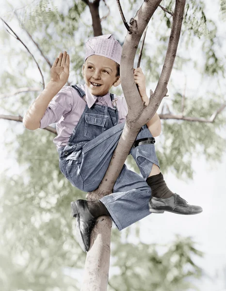 Низкий угол обзора мальчика, сидящего на дереве — стоковое фото