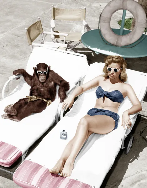 Chimpancé y una mujer tomando el sol —  Fotos de Stock