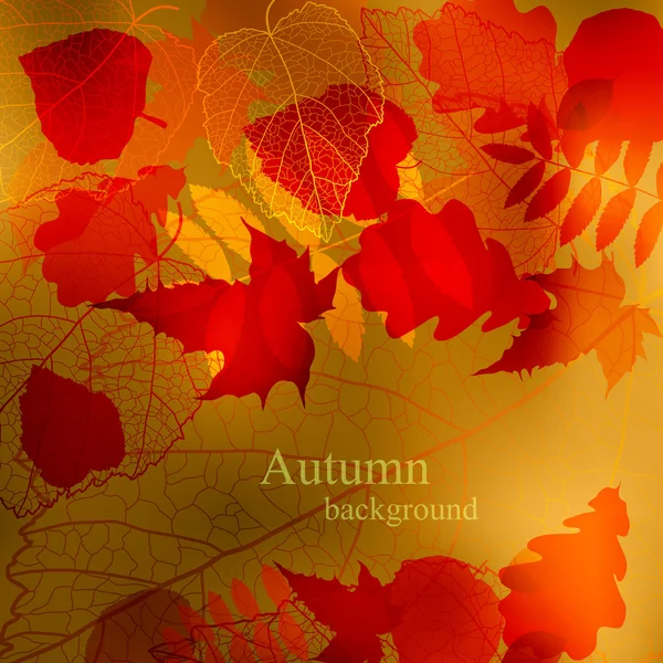 抽象的なかわいい秋背景ベクトル — ストックベクタ