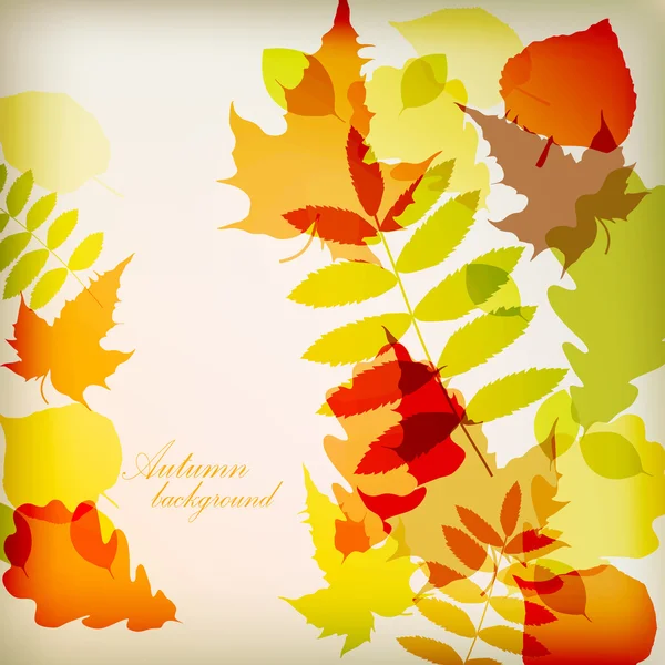 明亮多彩秋天的树叶矢量 — 图库矢量图片