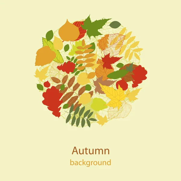 Herbstliche helle Blatt Hintergrund Vektor — Stockvektor