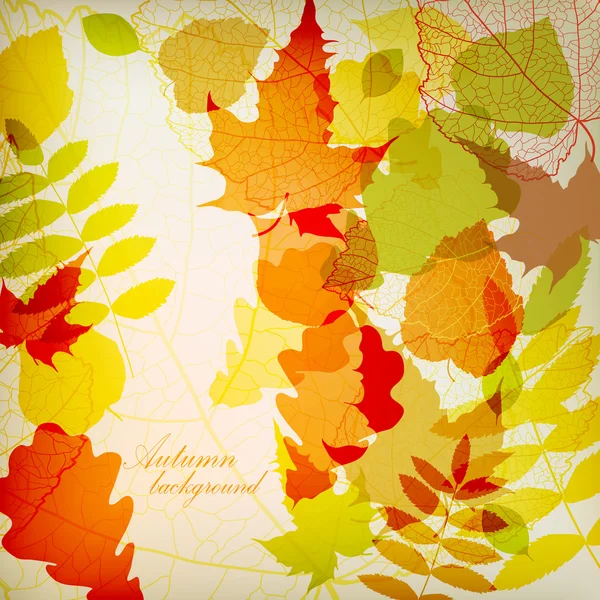 Vector de hojas de otoño colorido brillante — Vector de stock