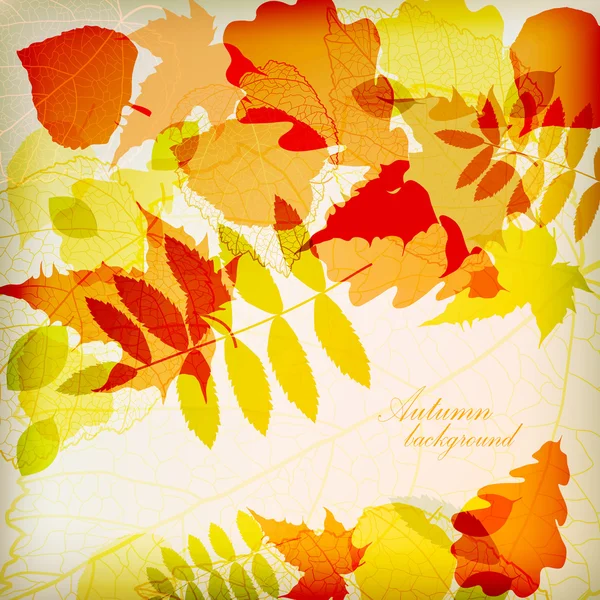 Vetor colorido brilhante das folhas do outono — Vetor de Stock