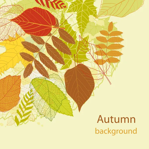 Herfst heldere blad achtergrond vector — Stockvector