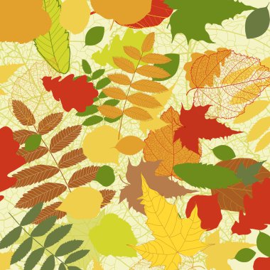 Autumnal bright leaf background