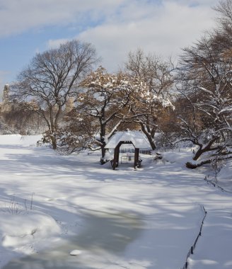 Central park Ice storm sonra