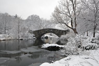 Central Park in snow storm clipart