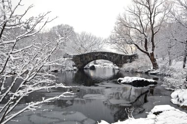 Gapstow bridge - Central Park clipart