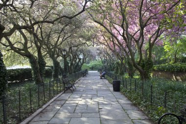 Central park bahçeler bahar