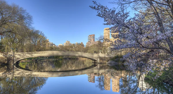 Central Park bow bridge spring — Stock Photo, Image