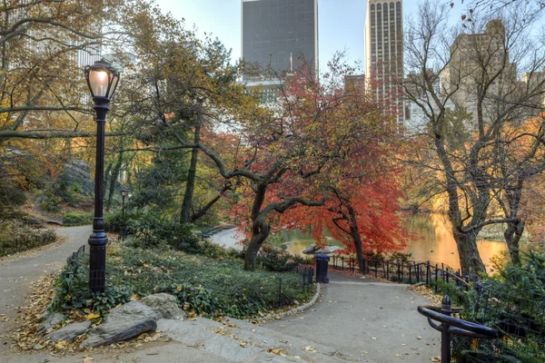 Gölet yakınındaki Central Park'a sonbahar — Stok fotoğraf