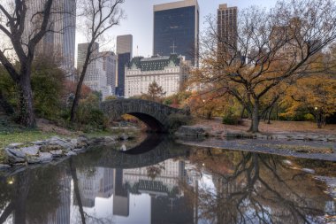 Central Park Gaptow bridge in autumn clipart