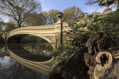 yay Bridge'de bahar central park