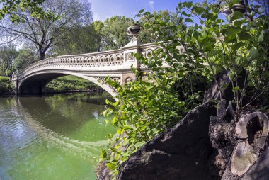 Central Park bow bridge clipart