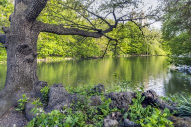 Central Park'a wagner cove