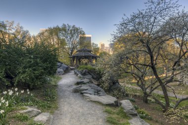 Central park