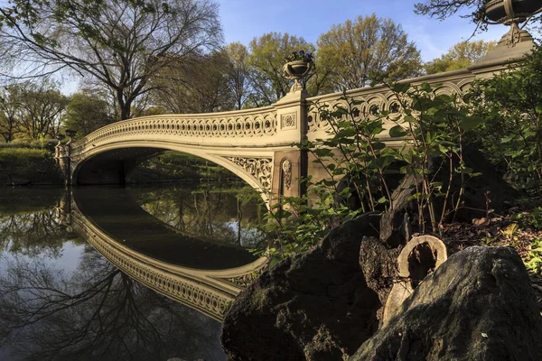 stock image Bow bridge in spring Central Park