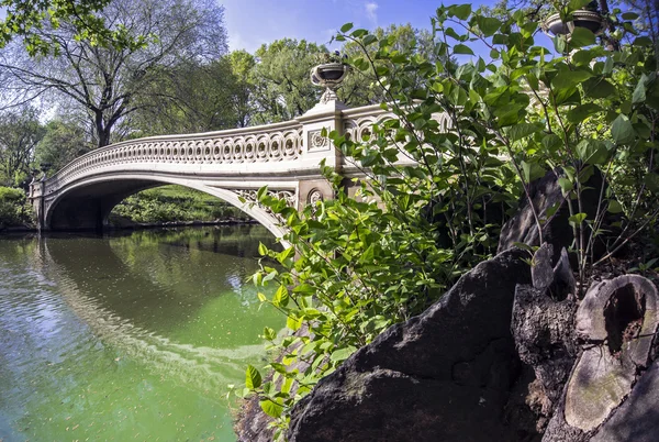 セントラル ・ パークの弓橋 — ストック写真