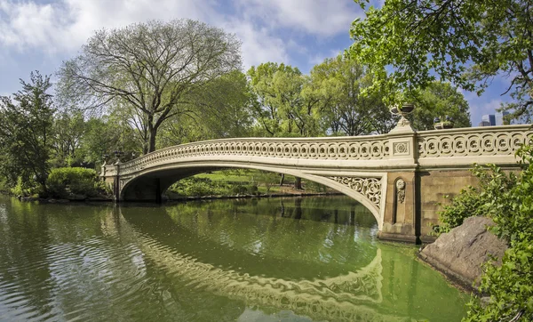 Central park båge bridge — Stockfoto