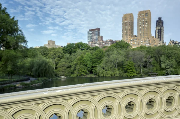 Central Park'a yay Köprüsü — Stok fotoğraf