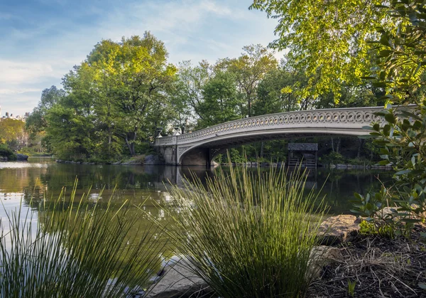 Central park båge bridge — Stockfoto