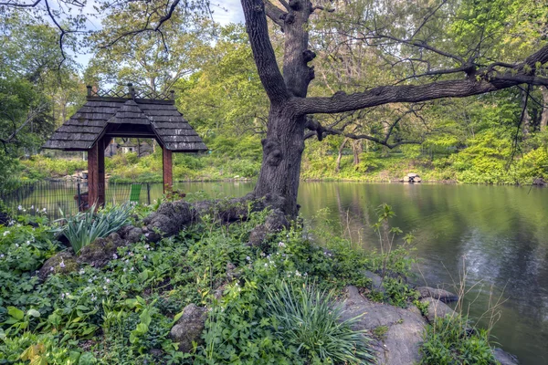 Central Park wagner cove — Stock Photo, Image