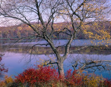 Harriman State Park in autumn clipart