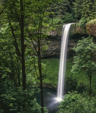 Silver Falls waterfall clipart
