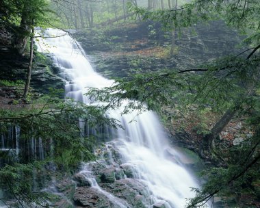 Rickett's Glen State Park Waterfall clipart