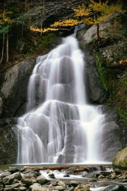 sonbahar moss glen Vermont'ta düşüyor