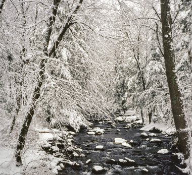 Harriman State Park