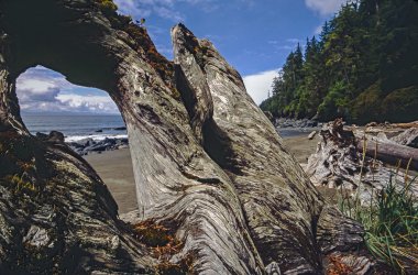 Juan de fuca iz beach